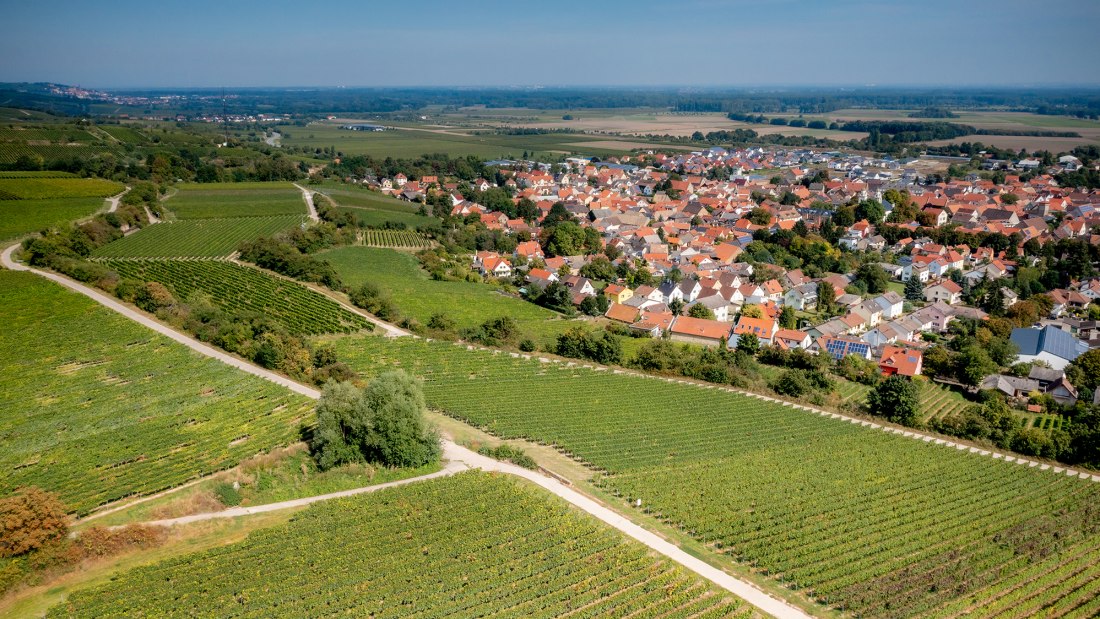 Guntersblumer Bornpfad Guntersblumer Bornpfad