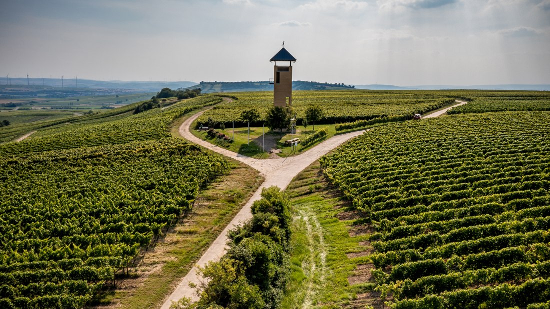 Vendersheimer Sonnenberg Vendersheimer Sonnenberg