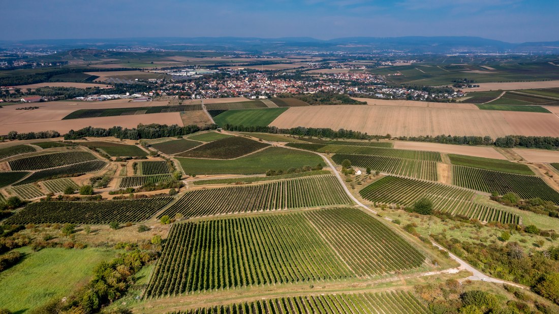 Sprendlinger Wißberg Sprendlinger Wißberg