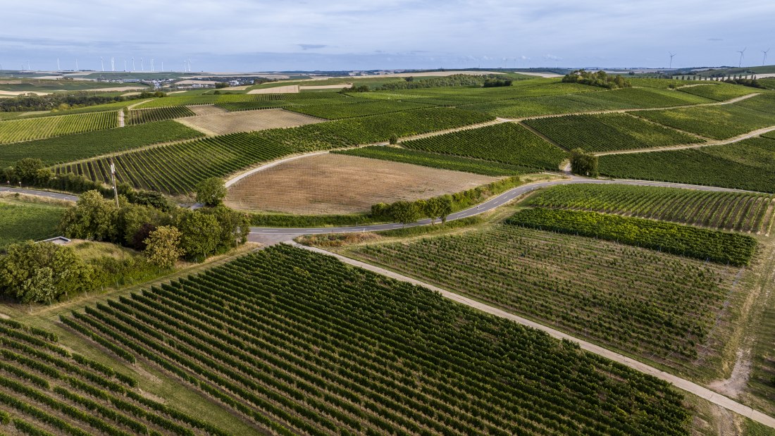 Bermersheimer Hildegardisberg Bermersheimer Hildegardisberg