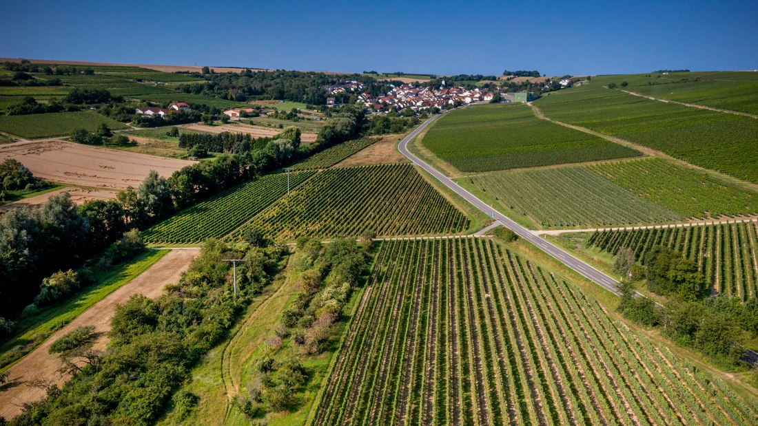 Engelstadter Adelpfad Engelstadter Adelpfad