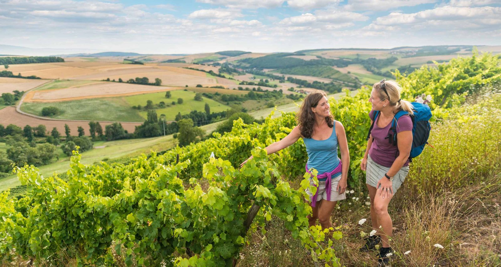 Wandern mit Ausblick, © Rheinhessen-Touristik GmbH - Dominik Ketz Wandern mit Ausblick, © Rheinhessen-Touristik GmbH - Dominik Ketz