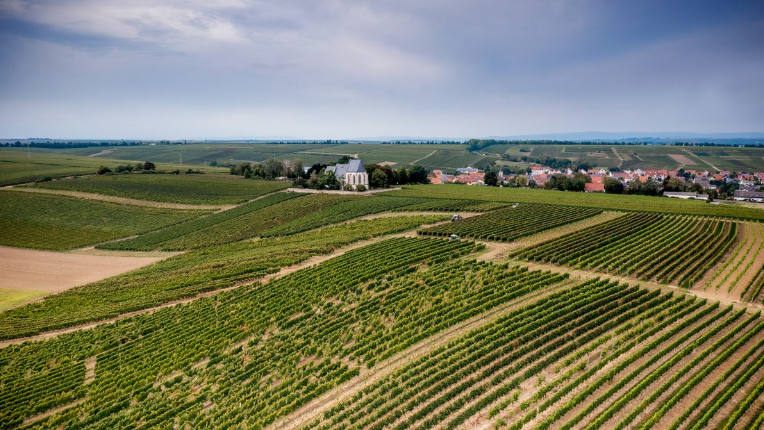 Udenheimer Kirchberg Udenheimer Kirchberg