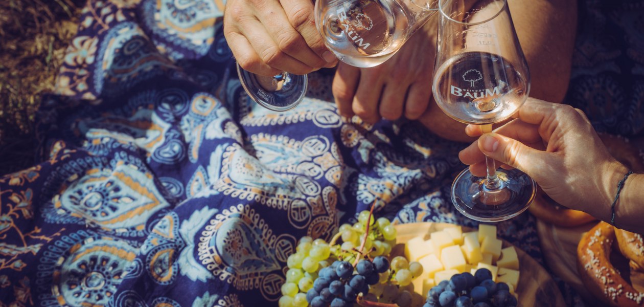 Weingut Baum_Weinprobe Weinberg, © Dirk Behlau Weingut Baum_Weinprobe Weinberg, © Dirk Behlau