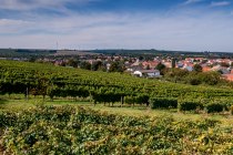 Albiger Schloss Hammerstein Albiger Schloss Hammerstein