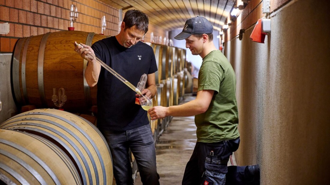 Weingut Manz_Arbeit im Keller, © Weingut Manz Weingut Manz_Arbeit im Keller, © Weingut Manz