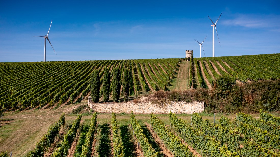 Dalsheimer Hubacker Dalsheimer Hubacker