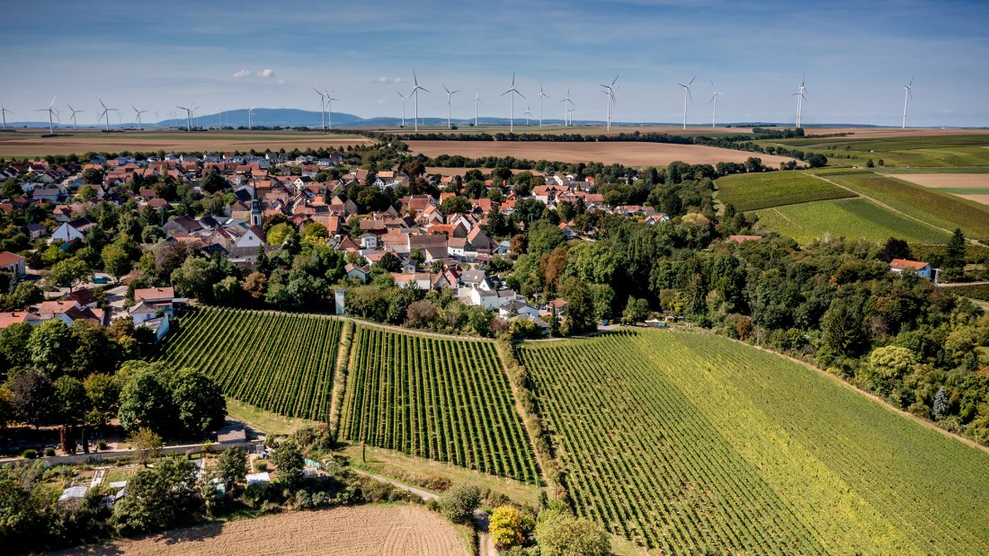 Flomborner Feuerberg Flomborner Feuerberg