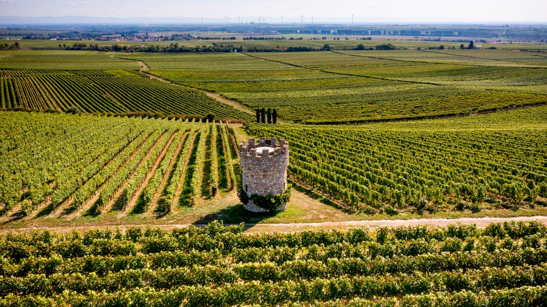 Dalsheimer Hubacker Dalsheimer Hubacker