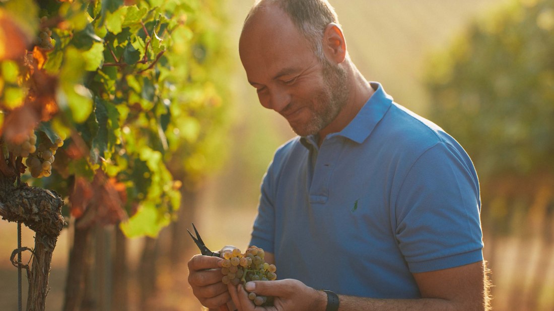 Weingut Dr. Koehler_Christian Dreißigacker, © Weingut Dr. Koehler Weingut Dr. Koehler_Christian Dreißigacker, © Weingut Dr. Koehler