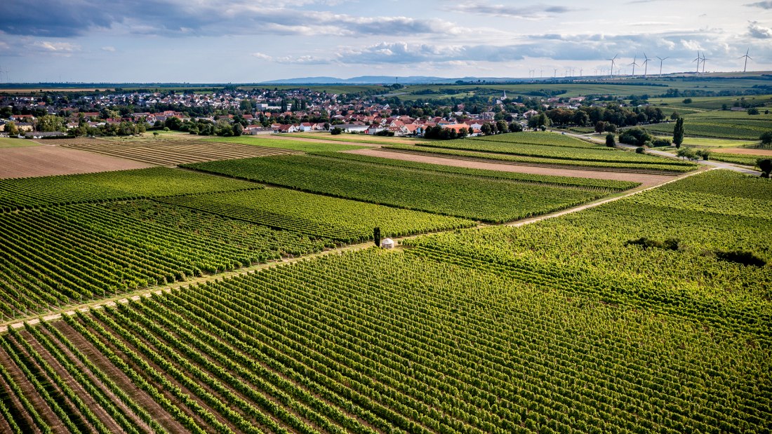 Westhofener Aulerde Westhofener Aulerde