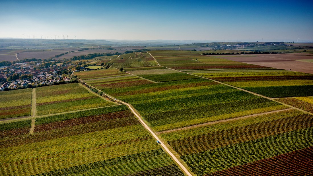 Biebelnheimer Pilgerstein Biebelnheimer Pilgerstein