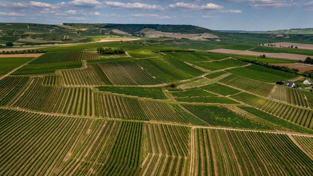 Welgesheimer Kirchgärtchen Welgesheimer Kirchgärtchen
