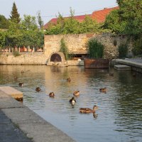 Seebachquelle © Fehlinger Seebachquelle © Fehlinger
