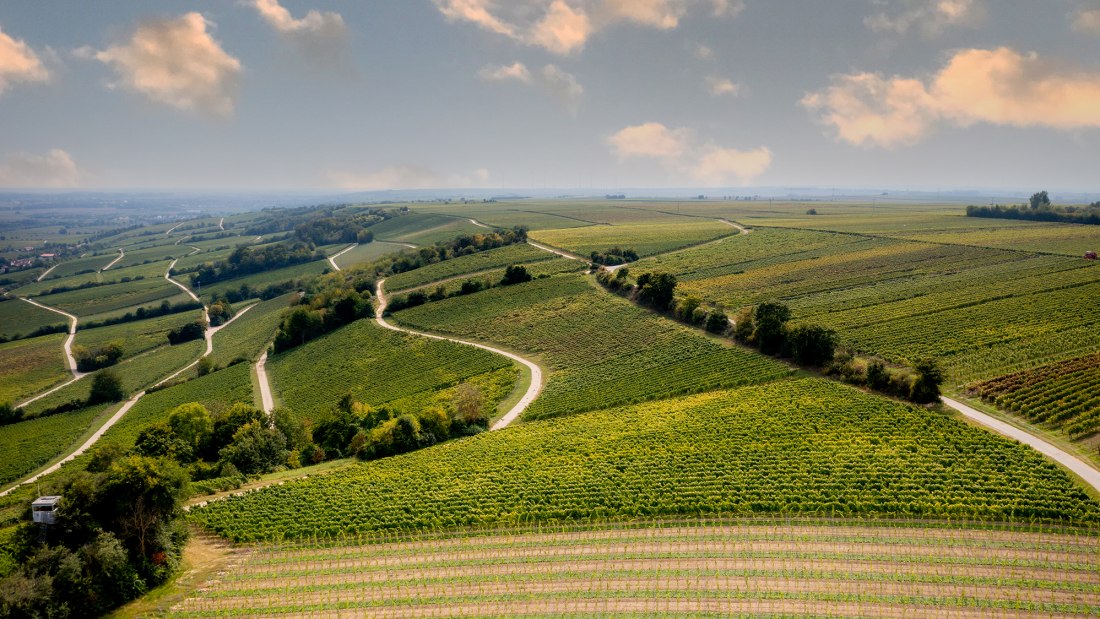 Oppenheimer Sackträger Oppenheimer Sackträger