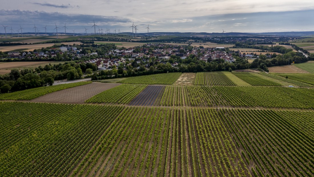 Wallertheimer Vogelsang-DJI_0757, © Rheinhessenwein e.V., Torsten Silz Wallertheimer Vogelsang-DJI_0757, © Rheinhessenwein e.V., Torsten Silz