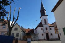 St. Joseph, Dorn-Dürkheim, © TSC Rhein-Selz St. Joseph, Dorn-Dürkheim, © TSC Rhein-Selz