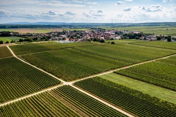 Gundheimer Mandelbrunnen Gundheimer Mandelbrunnen