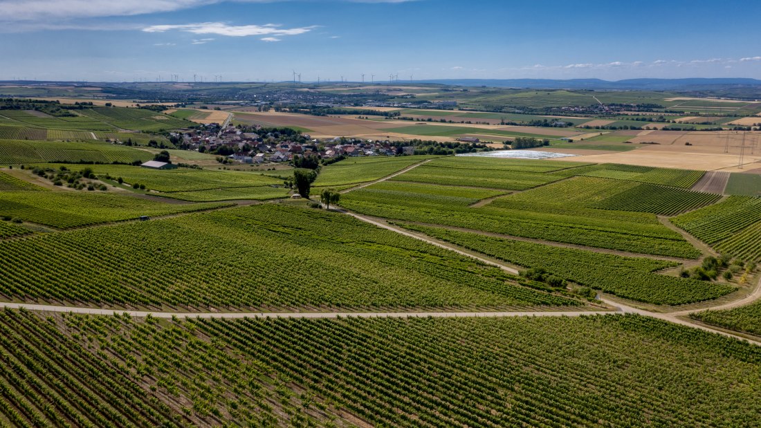 Gau-Heppenheimer Schlossberg Gau-Heppenheimer Schlossberg