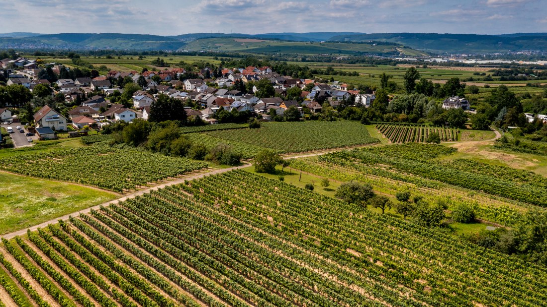 Ockenheimer Kreuz Ockenheimer Kreuz