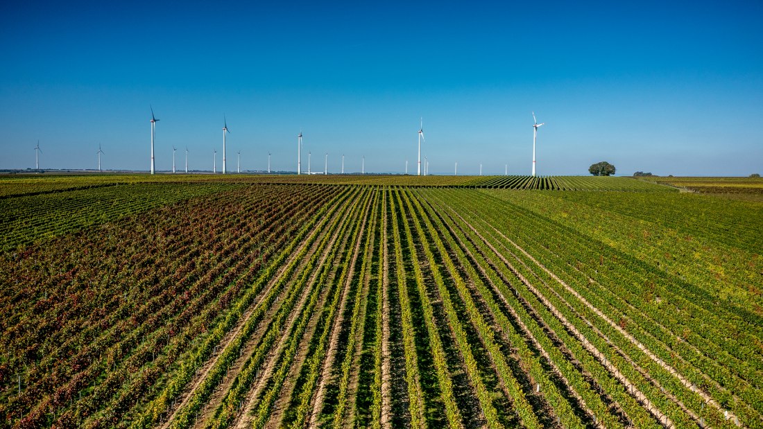Biebelnheimer Pilgerstein Biebelnheimer Pilgerstein