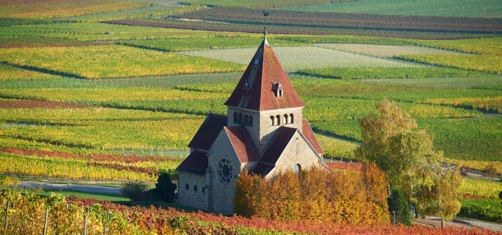 wine_location/wissberg_1.jpg, © Robert Dieth wine_location/wissberg_1.jpg, © Robert Dieth