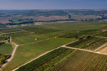 Elsheimer Bockstein Elsheimer Bockstein