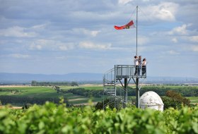 Aussichtturm Flörsheim-Dalsheim © VG Monsheim Fotograf Carsten Costard Aussichtturm Flörsheim-Dalsheim © VG Monsheim Fotograf Carsten Costard