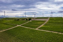 Gumbsheimer Schlosshölle Gumbsheimer Schlosshölle