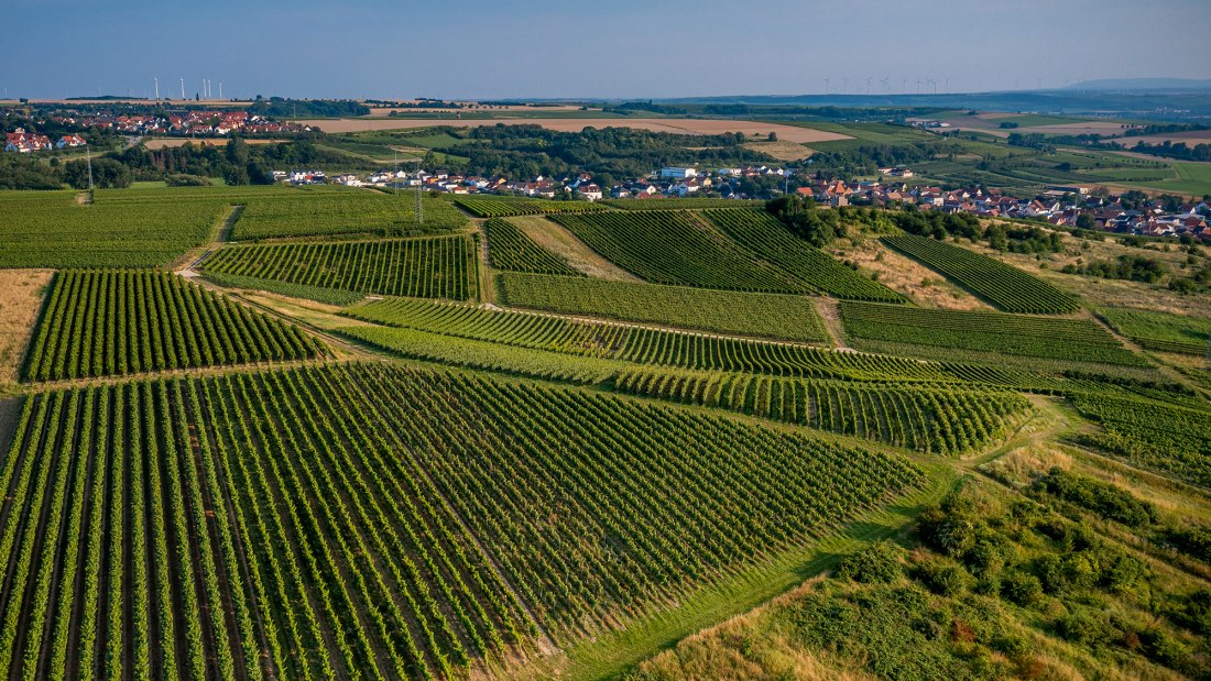 Sulzheimer Schildberg Sulzheimer Schildberg