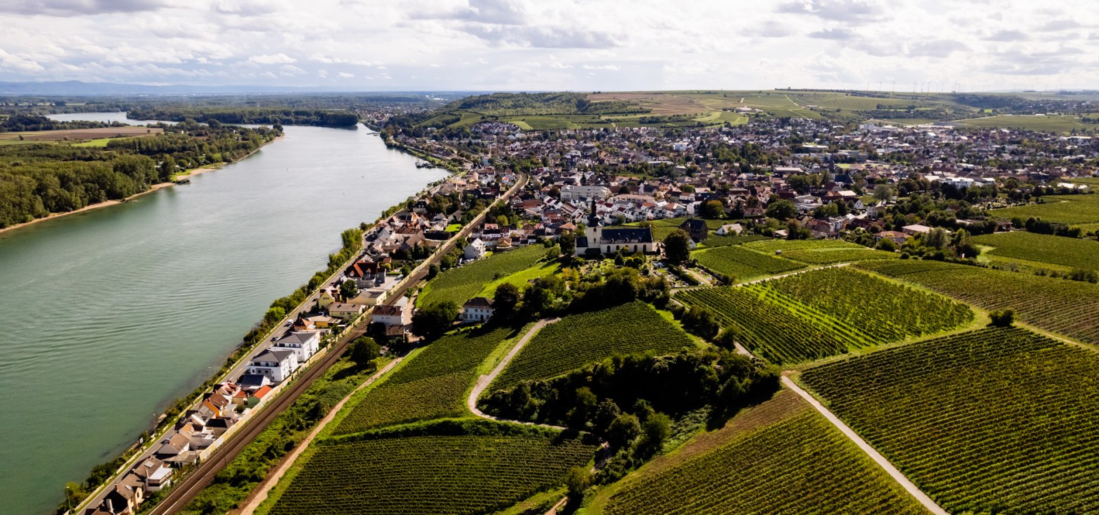 Nierstein_Weinberg Nierstein_Weinberg