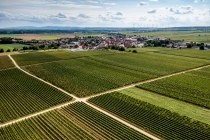 Gundheimer Mandelbrunnen Gundheimer Mandelbrunnen