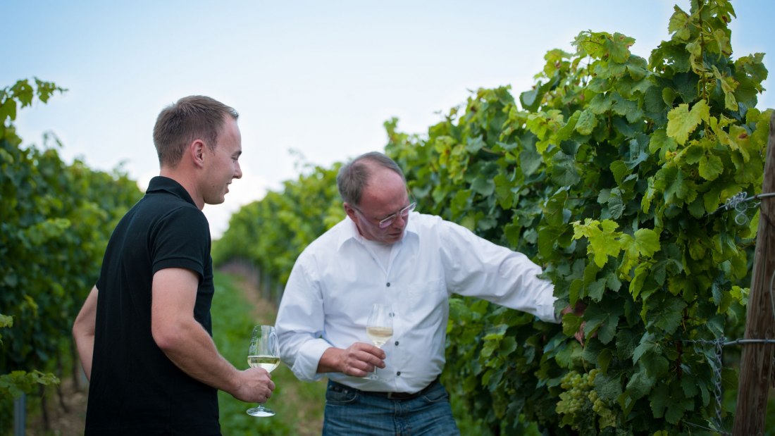 Weingut_Fritzsch_Sprendlingen_k Weingut_Fritzsch_Sprendlingen_k