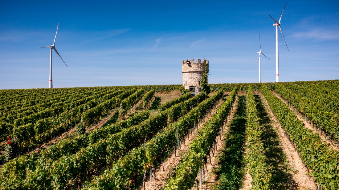 Dalsheimer Hubacker Dalsheimer Hubacker