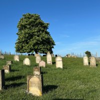 Jüdischer Friedhof 1 © TI Alzey Jüdischer Friedhof 1 © TI Alzey