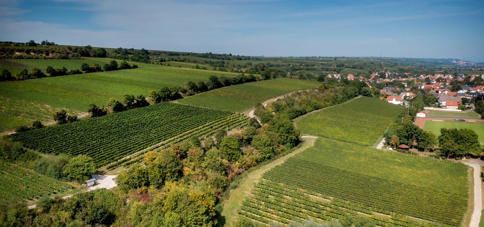 Guntersblumer Bornpfad Guntersblumer Bornpfad