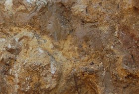 Kalksteinlehm Terra fusca © Landesamt für Geologie und Bergbau Rheinland-Pfalz Kalksteinlehm Terra fusca © Landesamt für Geologie und Bergbau Rheinland-Pfalz