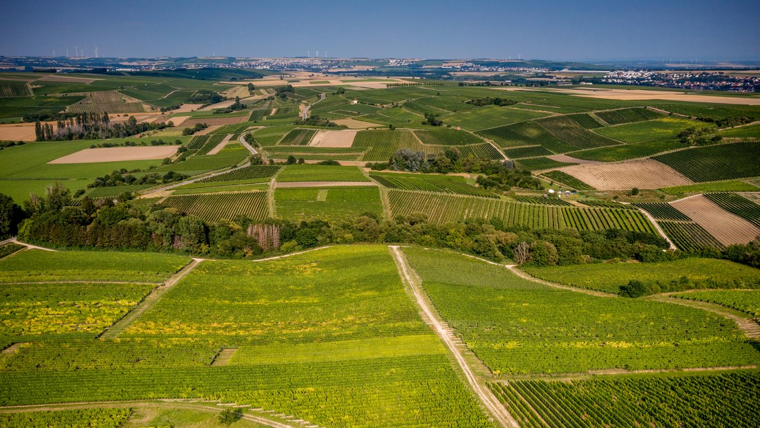 Saulheimer Schloßberg Saulheimer Schloßberg