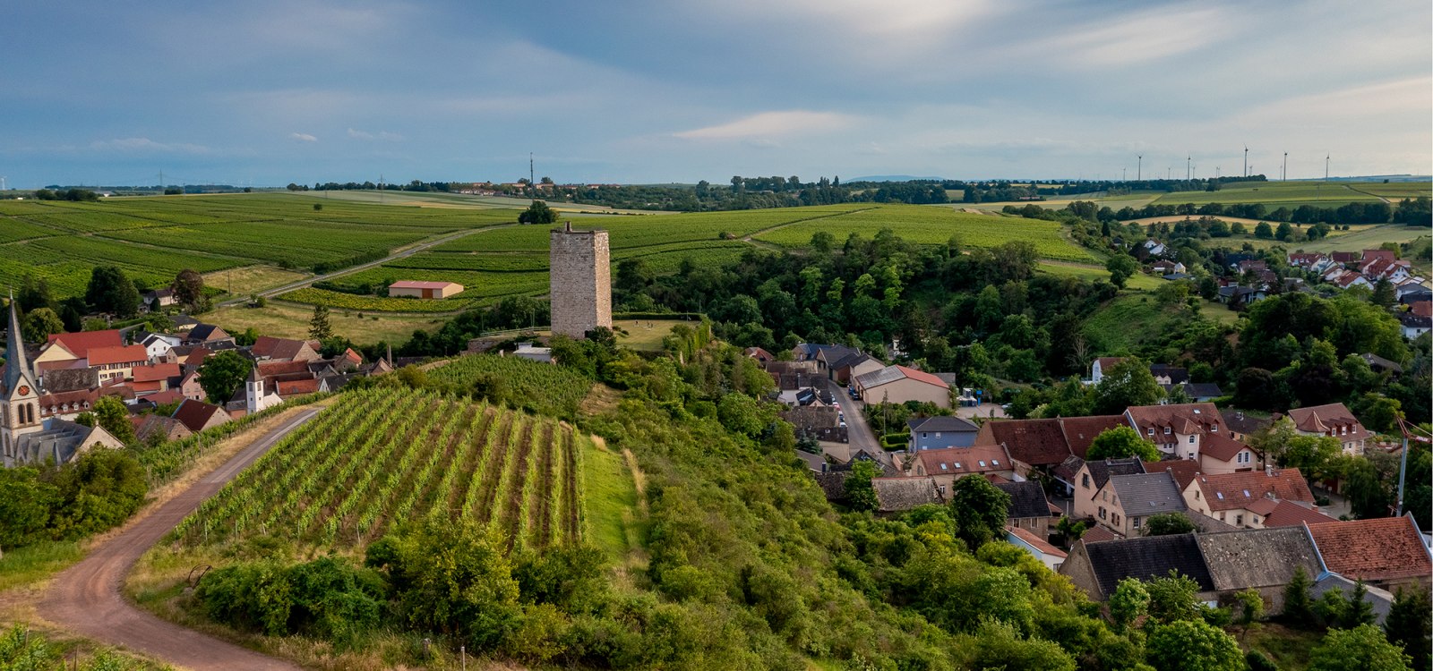 Niersteiner Schloß Schwabsburg Niersteiner Schloß Schwabsburg