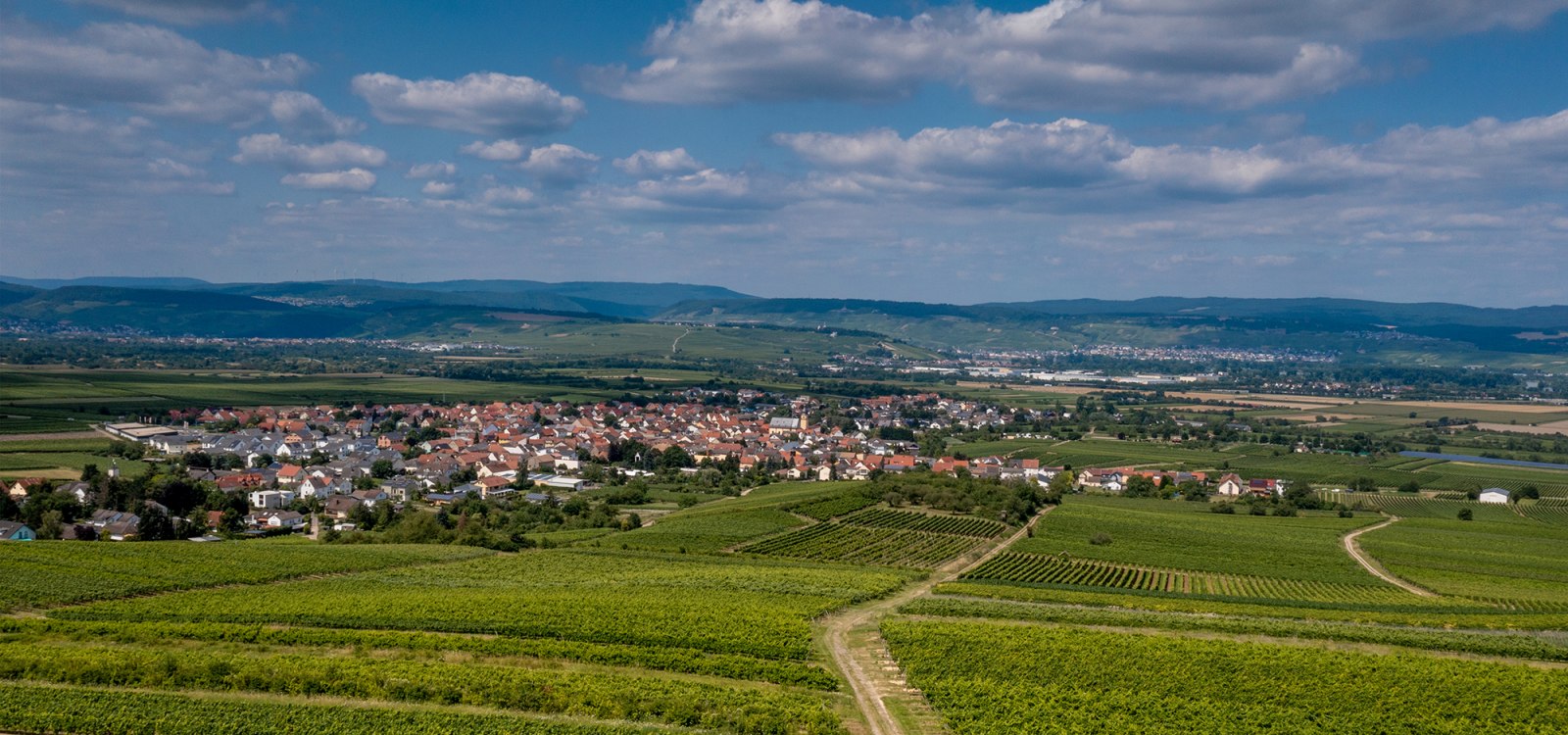 Ockenheimer St. Jakobsberg Ockenheimer St. Jakobsberg