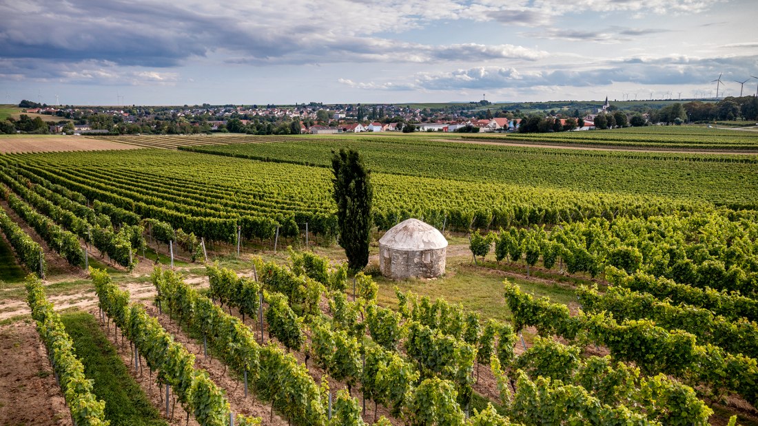 Westhofener Aulerde Westhofener Aulerde