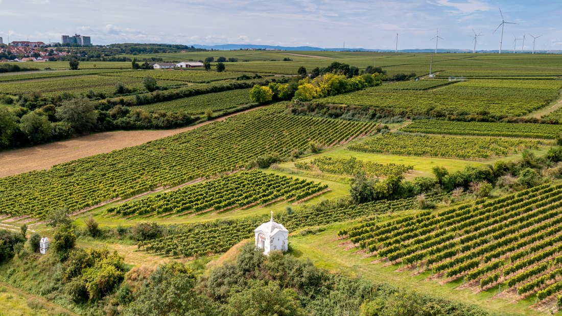 Herrnsheimer Schloß Herrnsheimer Schloß