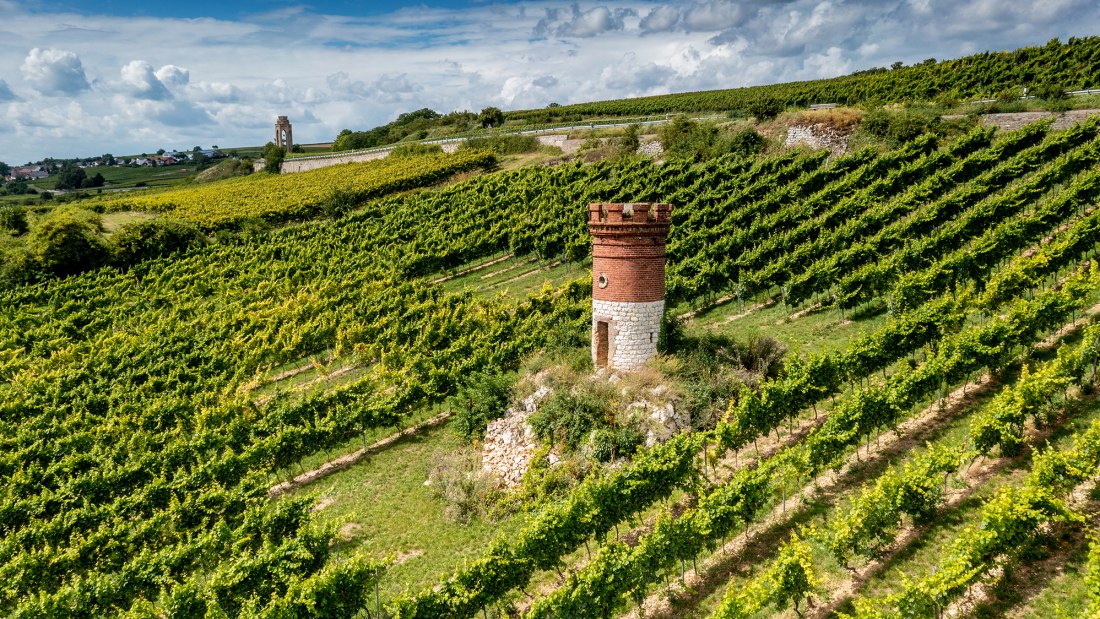 Mölsheimer Zellerweg am Schwarzen Herrgott Mölsheimer Zellerweg am Schwarzen Herrgott