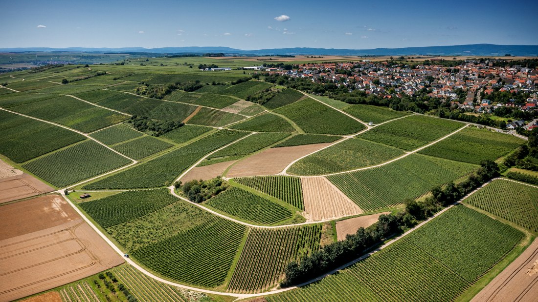 Essenheimer Teufelspfad Essenheimer Teufelspfad