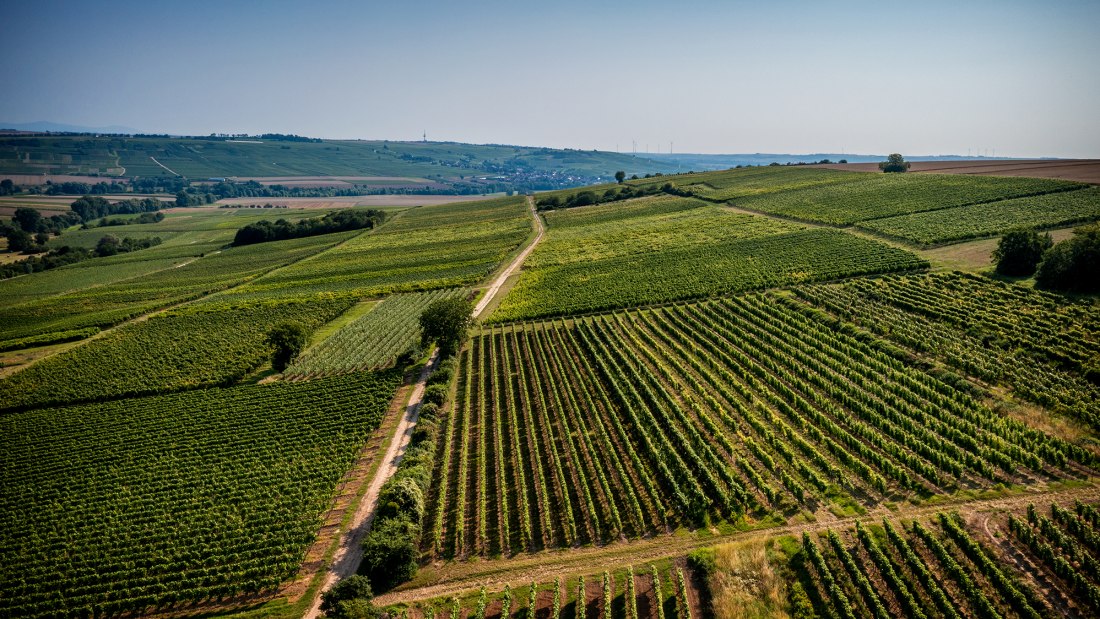 Engelstadter Adelpfad Engelstadter Adelpfad