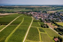 Appenheimer Eselspfad Appenheimer Eselspfad