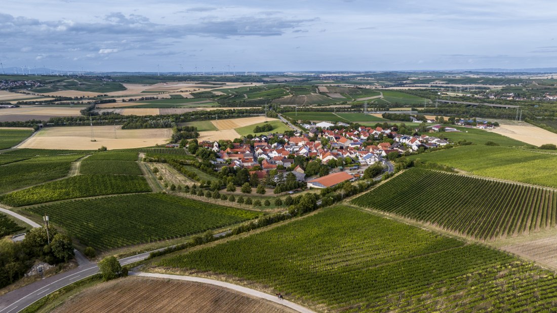 Bermersheimer Hildegardisberg Bermersheimer Hildegardisberg