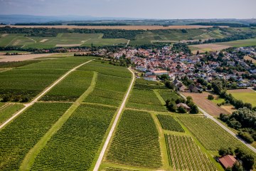 Appenheimer Eselspfad Appenheimer Eselspfad