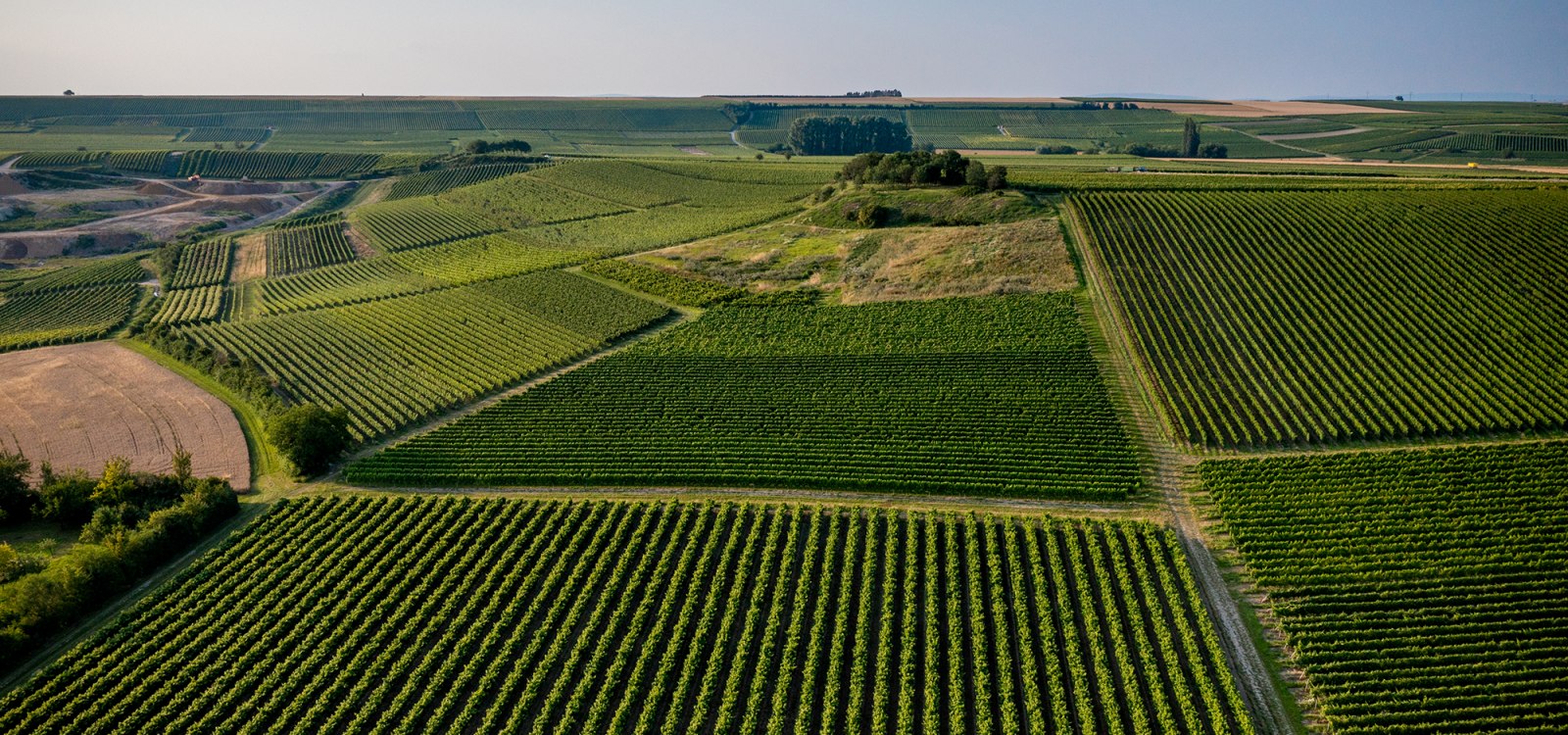Sulzheimer Schildberg Sulzheimer Schildberg
