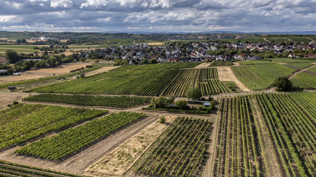 Lörzweiler Königstuhl Lörzweiler Königstuhl